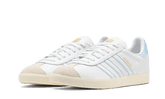 Gazelle Argentina