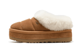 Tazzlita Chestnut