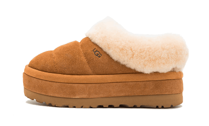 Tazzlita Chestnut (Enfant)