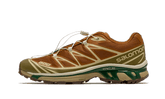 XT-6 Rubber Lizard