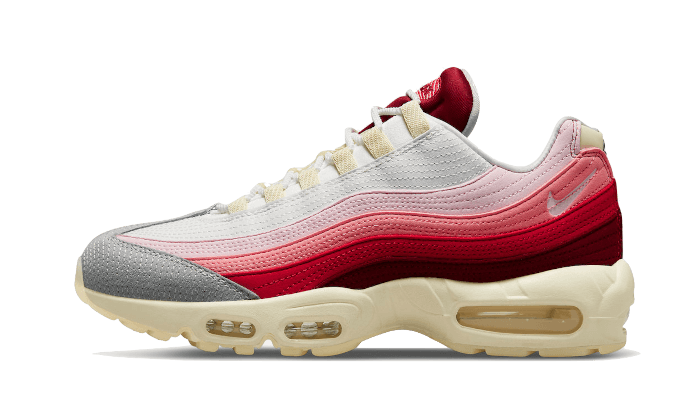 Air Max 95 Anatomy of Air