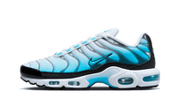 Nike Air Max Plus Baltic Blue - FD9751-100