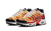 Nike Air Max Plus Light Photography - DZ3531-600