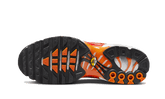 Nike Air Max Plus Light Photography - DZ3531-600