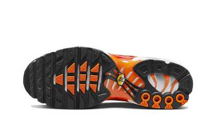 Nike Air Max Plus Light Photography - DZ3531-600