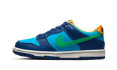 Nike Dunk Low All Star 2023 - DV1693-401