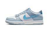 Nike Dunk Low Hologram - FJ4668-400