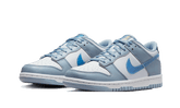 Nike Dunk Low Hologram - FJ4668-400