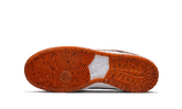 Nike SB Dunk Low Crushed D.C. - DH7782-001