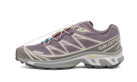 Salomon XT-6 Plum Kitten - L47136300
